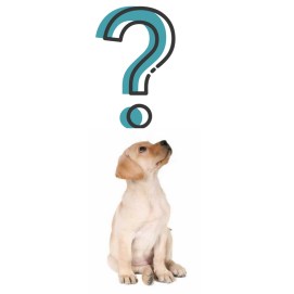 Untitled design (1).jpg